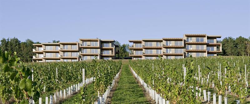Loisium Wine & Spa Hotel Suedsteiermark Ehrenhausen Extérieur photo